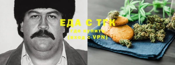 дживик Туринск