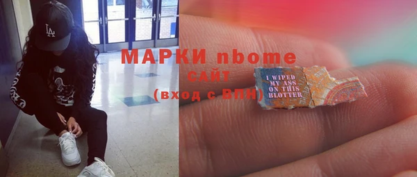 дживик Тында