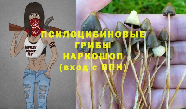 спайс Аркадак