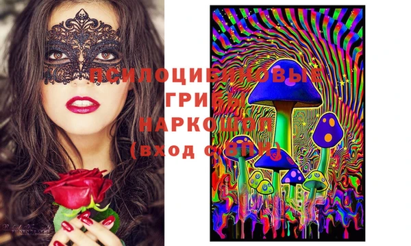 спайс Аркадак