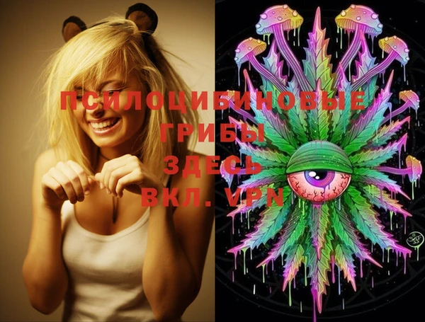 MDMA Premium VHQ Армянск
