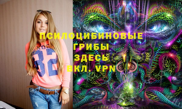 спайс Аркадак